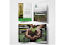 design professional flyers, bifold or trifold brochures